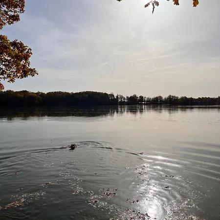 Rowing Road *
